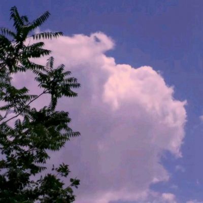 暗黑封魔录满v公益服下载